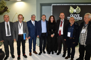ΠΔΕ: Κερδίζει υποστηρικτές η πρόταση για το Ολυμπιακό Έτος Ελαιολάδου 2024