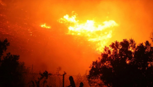 Σύλληψη αλλοδαπού για εμπρησμό στον Έβρο!