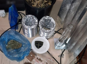 Εντοπίστηκε εργαστήριο υδροπονικής κάνναβης στην Κέρκυρα