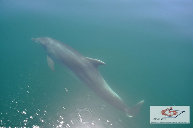 Δράσεις για τον Αμβρακικό σε Άρτα και Ζηρό