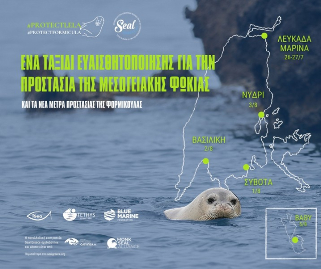 Εκστρατεία SealGreece στη Λευκάδα: Υπερασπιζόμαστε τη ζωή στη θάλασσα