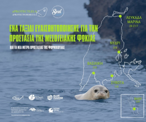 Εκστρατεία SealGreece στη Λευκάδα: Υπερασπιζόμαστε τη ζωή στη θάλασσα