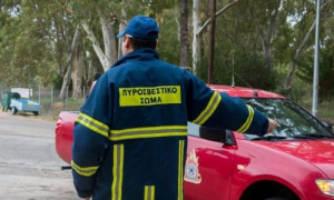 Πρόστιμο 1700 ευρώ για φωτιά σε αγροτική έκταση στην Πάργα