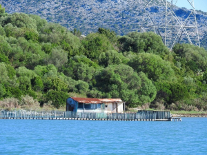 Προ των πυλών η παραγωγική ανασυγκρότηση του Αβλέµονα