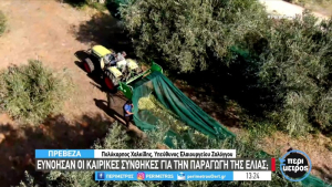 Πρέβεζα: Η παραγωγή ελαιολάδου σε παραδοσιακό ελαιοτριβείο (video)