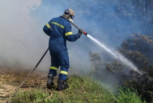 Κόρινθος: Φωτιά από κεραυνό - Επιχειρούν και εναέρια μέσα