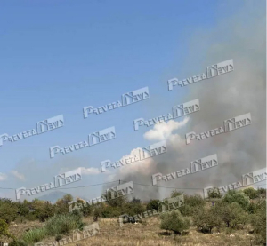 Πρέβεζα: Υπό έλεγχο η φωτιά στον Μεσοπόταμο