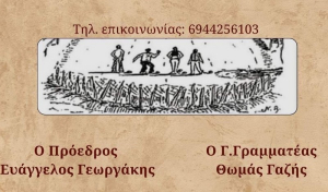 1ο Τουρνουά Αμπαλί των Λευκαδίτικων Φορέων Αττικής