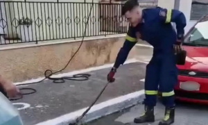 Σπάρτη: Φίδι «εισβάλει» στην αυλή του σπιτιού