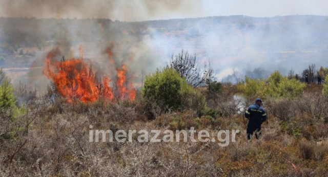 Ζάκυνθος: Σε εξέλιξη η φωτιά στον Αγαλά - Καίει δασικές και γεωργικές εκτάσεις (φωτό-βίντεο)