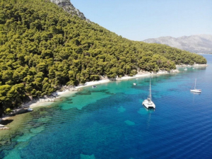 Η ασθένεια των πεύκων είναι κολλητική και έχει εμφανιστεί και στο πανέμορφο πευκοδάσος του Καλάμου
