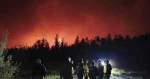 Ολονύχτια μάχη για να σωθεί το Δάσος Δαδιάς στον Έβρο