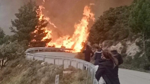 Φωτιά σε δάσος στο Κάθισμα – Σηκώθηκε ελικόπτερο