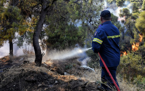 Φωτιά τώρα στην Πρέβεζα