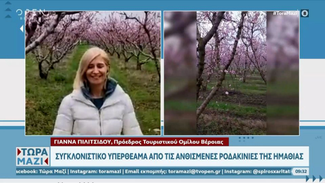 Συγκλονιστικό υπερθέαμα από τις ανθισμένες ροδακινιές της Ημαθίας (video)