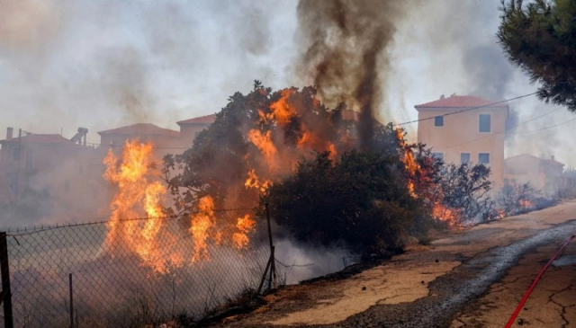 Φωτιά στη Λέσβο: Δημοσιογράφος έπεσε στη θάλασσα για να γλιτώσει