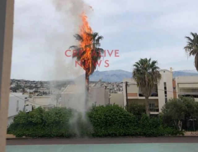 Άρπαξε φωτιά φοίνικας μέσα σε σχολείο της Κρήτης!