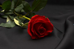 Κοινωνικά περιοχής Λευκάδας - Σάββατο 17 Ιουνίου