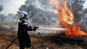 Αιτωλ/νία: Άνδρας συνελήφθη για εμπρησμό - Επέμβαση της Πυροσβεστικής Λευκάδας