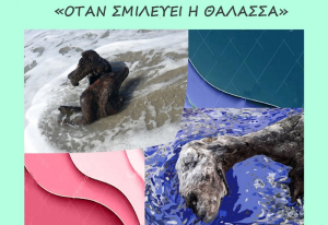 Λευκάδα: Εγκαίνια ζωγραφικής στην Αίθουσα Τέχνης στην Πλατεία Μαρκά