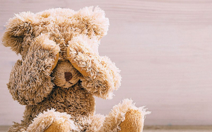 «Αρκουδάκια κοκαΐνης»: Γέμιζαν λούτρινα με... ναρκωτικά!