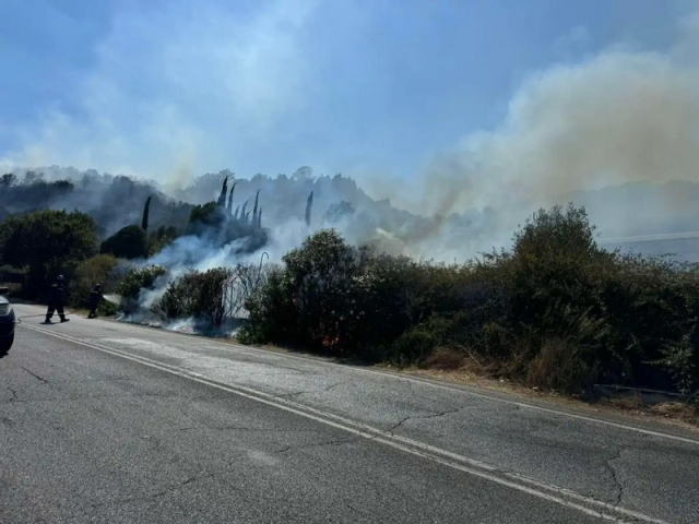 Φωτιά στην Γέφυρα Καλογήρου: Εμπρησμό «βλέπουν» οι Αρχές