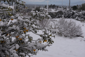 Καιρός: Έρχονται χιόνια και χαμηλές θερμοκρασίες