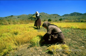 Προβολή του βραβευμένου ντοκιμαντέρ «Το οροπέδιο της Εγκλουβής»