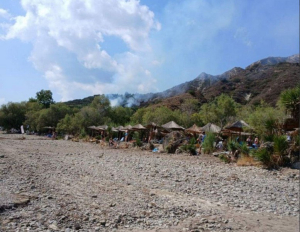 Υπό έλεγχο η φωτιά στην Δάφνη Ζακύνθου