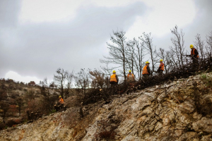ΔΕΗ: Αποκατάσταση 13.600 στρεμμάτων στην Πάρνηθα  με χορηγία €2,5 εκατ.