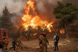 Η πολιτική ορθότητα καίει τα δάση