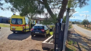 Σοκ στη Μεσσήνη: Σκότωσε τη σύζυγό του με βαριοπούλα και αυτοκτόνησε