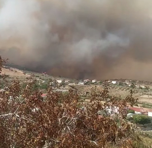 Φωτιά στη Μαγνησία: Νεκρή γυναίκα στον Πλάτανο Αλμυρού