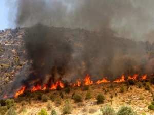 Επικίνδυνη πυρκαγιά στην περιοχή της Βόνιτσας
