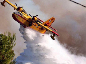 Μεγάλη φωτιά στο Λογγίτσι Στυλίδας