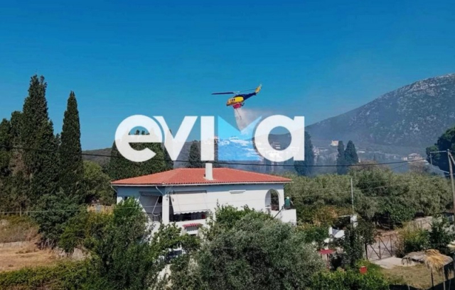 Μάχη με τις φλόγες στη Φιλιππιάδα - Ήχησε το 112 για νέα μεγάλη φωτιά στην Εύβοια
