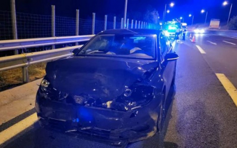 Αρκούδα συγκρούστηκε με αυτοκίνητο στην Εγνατία Οδό (video)