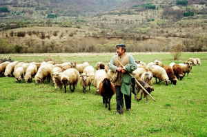 Πογωνιά: Ημερίδα για τα προβλήματα των κτηνοτρόφων