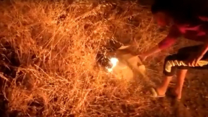 Έρχονται βαρύτατα πρόστιμα για τους εμπρησμούς – Θα φτάνουν ως και τα 30.000 ευρώ