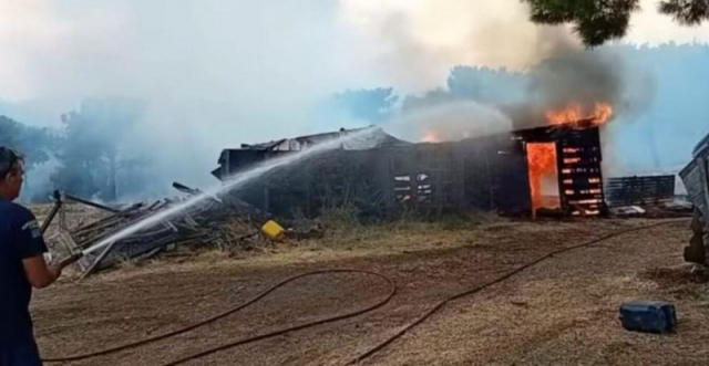 Φωτιά στον Έβρο: Μήνυμα για εκκένωση στη Λευκίμμη για δεύτερη φορά