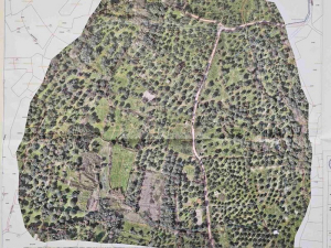 Εγκρίθηκε η τροποποίηση της μελέτης περιβαλλοντικών επιπτώσεων για τη Λιμνοδεξαμενή Βασιλικής