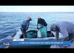Μέθοδος Νταλιάνι: Η τεχνική ψαρέματος που είναι αποκλειστικό προνόμιο της Πρέβεζας (vid)
