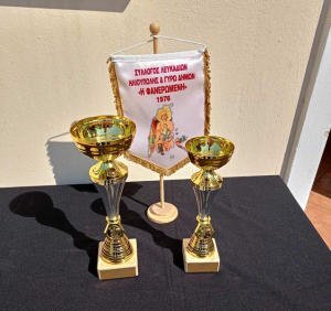 1ο τουρνουά ΑΜΠΑΛΙ Λευκαδίτικων Φορέων Αττικής