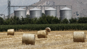 Μετάθεση ημερομηνίας έναρξης υποβολής αιτήσεων ενίσχυσης