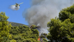 Συνολικά 73 πυρκαγιές ξέσπασαν στην χώρα το τελευταίο 24ωρο
