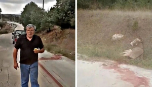 Απαγορεύεται να έχει οποιοδήποτε ζώο ο αντιδήμαρχος που βασάνισε το γαϊδουράκι