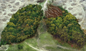 Νέα μελέτη: Η κλιματική αλλαγή μπορεί να κάνει τις πανδημίες πιο συχνές