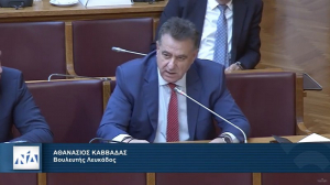 Θ. Καββαδάς: Το Υπ. Πολιτικής Προστασίας να ελέγχει Δήμους &amp; Περιφέρειες για υλοποίηση αντιπλημμυρικών έργων
