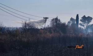 Υπό έλεγχο η φωτιά στην Πρέβεζα, αποφεύχθηκαν τα χειρότερα