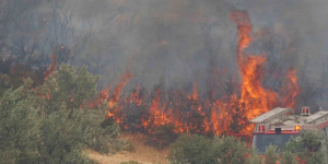 Δύσκολη φωτιά στην Αργολίδα: Εκκενώθηκαν Κρανίδι και Πετροθάλασσα, μήνυμα «112»